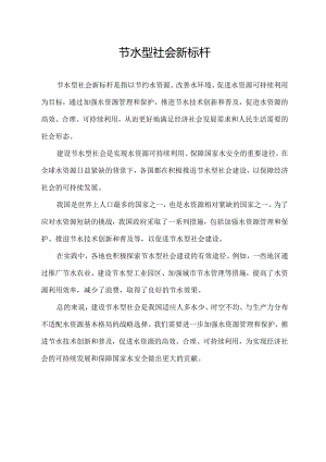 节水型社会新标杆.docx