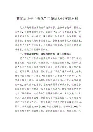 某某局关于“五化”工作法经验交流材料.docx