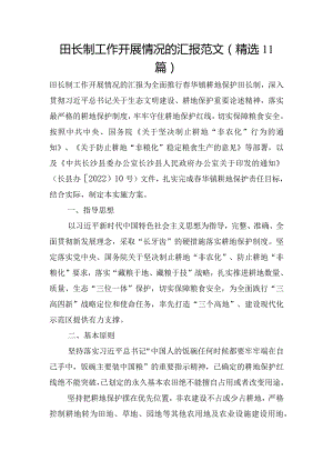 田长制工作开展情况的汇报范文(精选11篇).docx