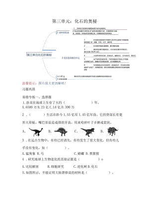 苏教版小学六年级科学下册《第三单元：化石的奥秘》自学练习题及答案.docx