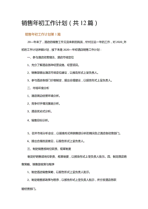 销售年初工作计划.docx