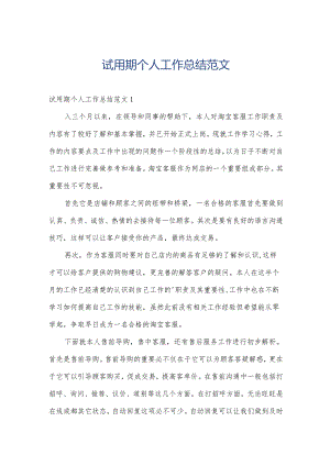 试用期个人工作总结范文.docx