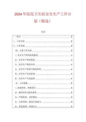 2024年医院卫生院安全生产工作计划（精选）.docx