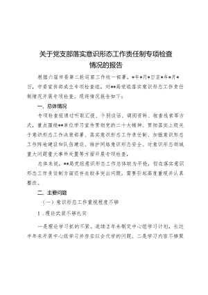 2024年党支部落实意识形态工作责任制专项检查情况的报告.docx