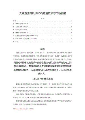 无刷直流电机(BLDC)前沿技术与市场发展.docx