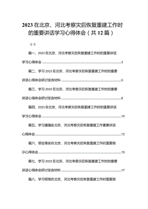 在北京、河北考察灾后恢复重建工作时的重要讲话学习心得体会最新版12篇合辑.docx