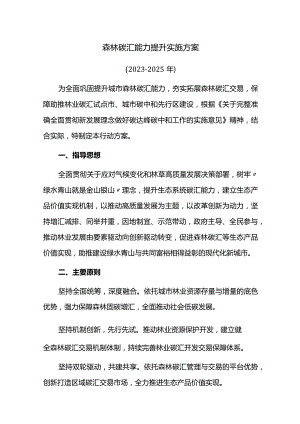 森林碳汇能力提升实施方案.docx