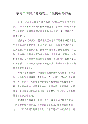 看守所所长学习《中国共产党巡视工作条例》心得体会 汇编6份.docx