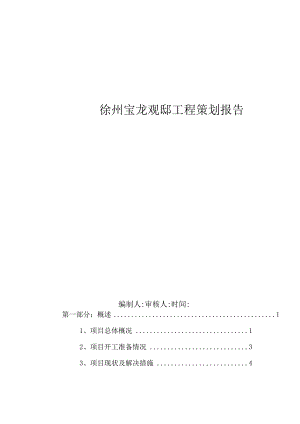 某工程项目策划报告.docx