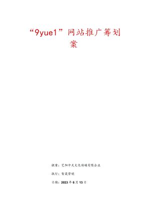 网络推广策略.docx