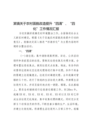 某镇关于农村面貌改造提升“四清”、“四化”工作情况汇报.docx