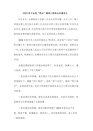 2024学习全国“两会”精神心得体会多篇范文.docx