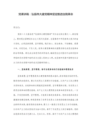 党课讲稿：弘扬伟大建党精神坚定推进自我革命.docx