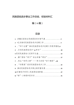 民族团结进步事业工作总结、经验材料汇编（11篇）.docx