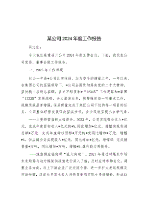 某公司2024年度工作报告.docx