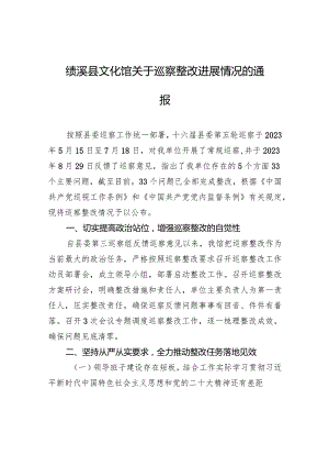 绩溪县文化馆关于巡察整改进展情况的通报.docx