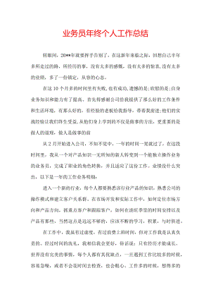 业务员年终个人工作总结.docx