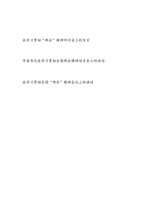 2024年在学习贯彻全国“两会”精神（动员会）研讨会上的讲话发言3篇.docx