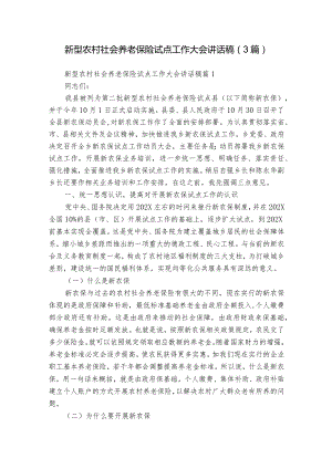 新型农村社会养老保险试点工作大会讲话稿（3篇）.docx