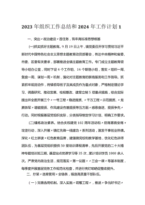 2023年组织工作总结和2024年工作计划（2篇）.docx