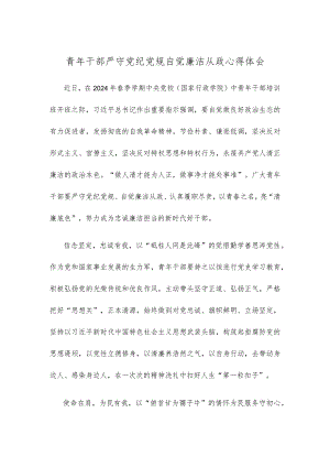 青年干部严守党纪党规自觉廉洁从政心得体会.docx