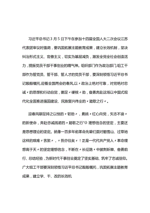 党员2024年贯彻两会精神发言材料心得体会(精选）.docx