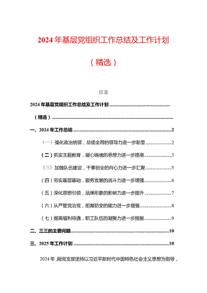 2024年基层党组织工作总结及工作计划（精选）.docx