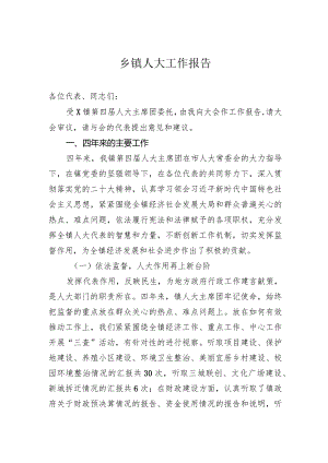 乡镇人大工作报告.docx