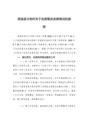 绩溪县文物所关于巡察整改进展情况的通报.docx
