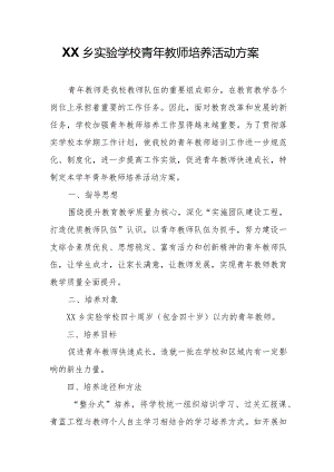 XX乡实验学校青年教师培养活动方案.docx