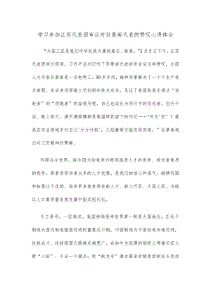 学习参加江苏代表团审议对孙景南代表的赞叹心得体会.docx