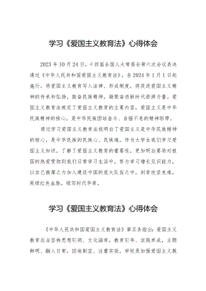 《爱国主义教育法》心得体会优秀范文8篇.docx