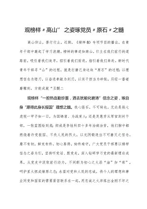 榜样8学习体会：观榜样“高山”之姿琢党员“原石”之髓.docx