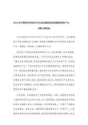 2024学习贯彻中央经济工作会议精神加快发展新质生产力2篇心得体会.docx