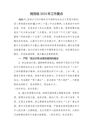 局党组2024年工作要点.docx