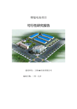 锂锰电池项目可行性研究报告【申请立项】.docx