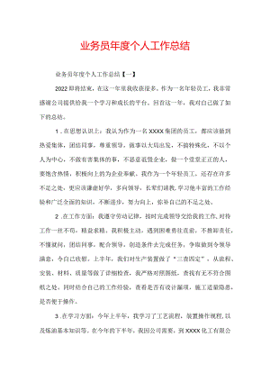 业务员年度个人工作总结.docx