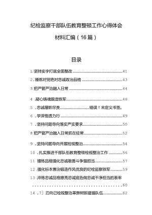 纪检监察干部队伍教育整顿工作心得体会材料汇编（16篇）.docx