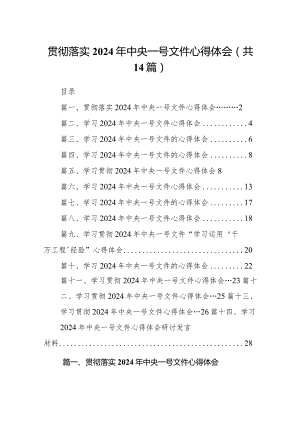 贯彻落实2024年中央一号文件心得体会14篇（精选版）.docx