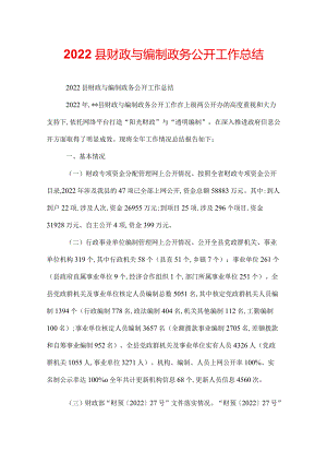 2022县财政与编制政务公开工作总结.docx