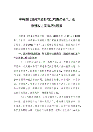 中共厦门夏商集团有限公司委员会关于巡察整改进展情况的通报.docx