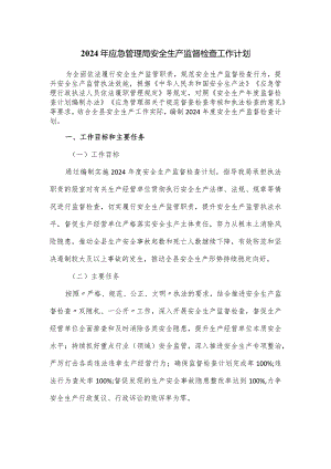2024年应急管理局安全生产监督检查工作计划.docx
