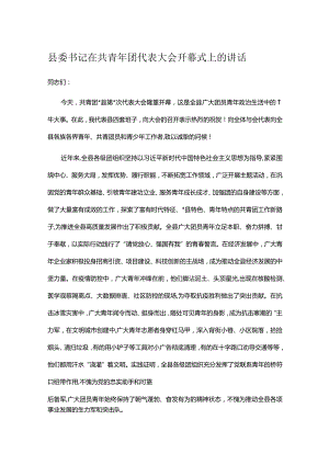 县委书记在共青年团代表大会开幕式上的讲话.docx