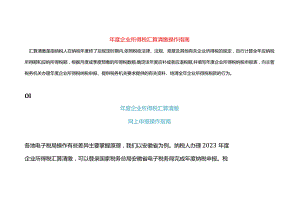 年度企业所得税汇算清缴申报操作指南.docx