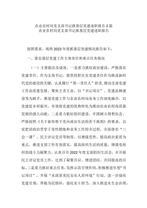 农业农村局党支部书记抓基层党建述职报告2篇.docx