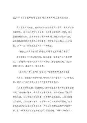 2024年《安全生产责任在肩》警示教育片观后感汇篇范文.docx