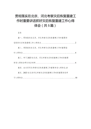 2024贯彻落实在北京、河北考察灾后恢复重建工作时重要讲话抓好灾后恢复重建工作心得体会（共五篇）汇编.docx
