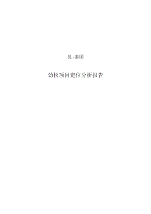 XX集团劲松项目定位分析报告.docx