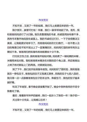 小学生作文难忘的除夕夜优秀范文精选.docx