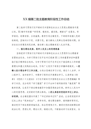 003-XX镇第二批主题教育工作总结.docx